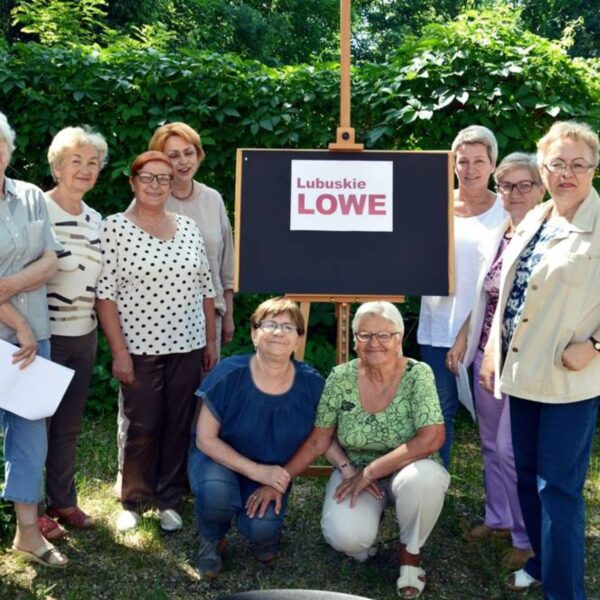 „Lubuskie LOWE – Lokalny Ośrodek Wiedzy i Edukacji w gminie Sulęcin – projekt grantowy