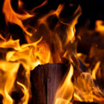 freenaturestock-2340-768x512