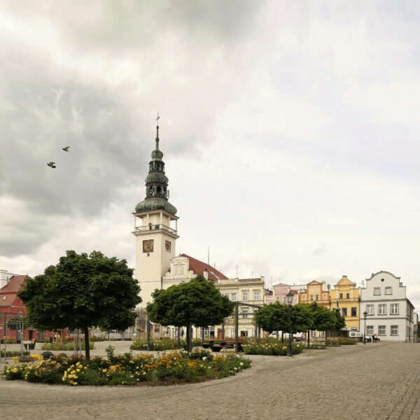 Monitoring działań jednostek administracji rządowej i samorządowej w województwie lubuskim, w kontekście realizacji praw osób z niepełnosprawnościami ii dostosowania do postanowień Konwencji ONZ o prawach osób niepełnosprawnych.